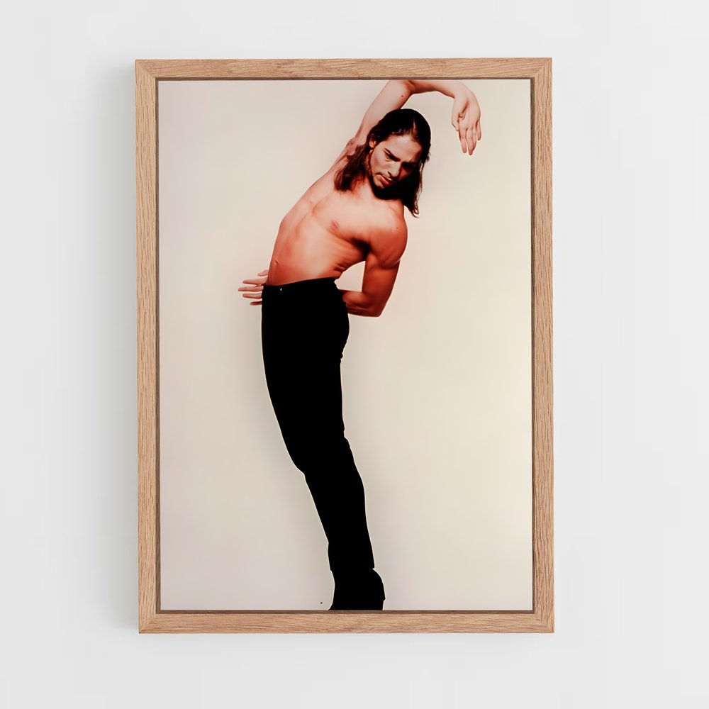 Poster Pasión de Danza – affiche Danse (vue 4)